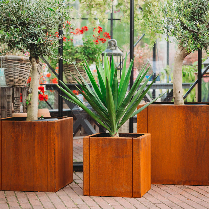 Petteri Wiimaa Corten Steel Planters Set of 3 Clara-Large (3 pots: 1 pcs Clara M, 1 pcs Clara L, 1 pcs Clara XL)