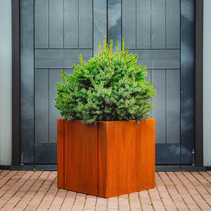 Petteri Wiimaa Corten Steel Planter Clara L, 50x50x50 cm