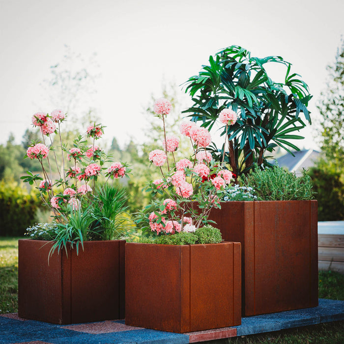 Petteri Wiimaa Corten Steel Planters Set of 3 Clara (3 pots: 2 pcs Clara M, 1 pcs Clara XL)