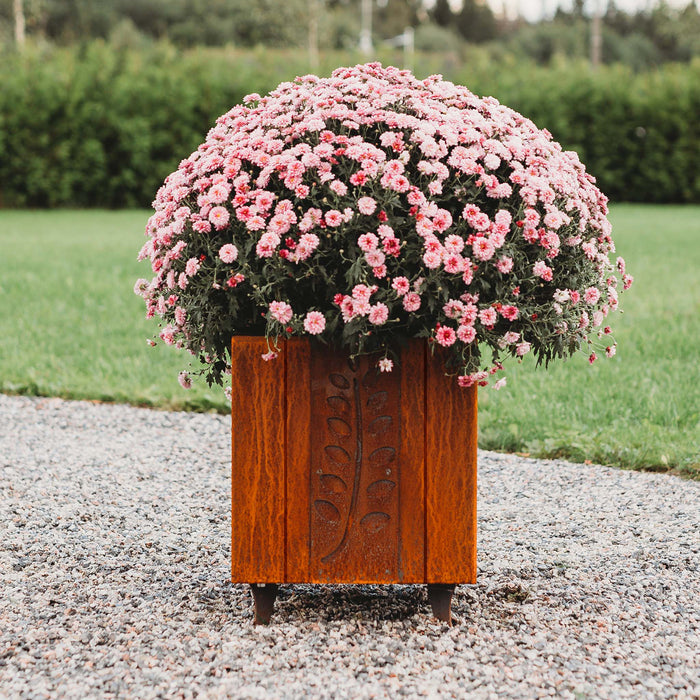 Petteri Wiimaa Corten Steel Planter Fat Ballerina L, 50x50x55 cm