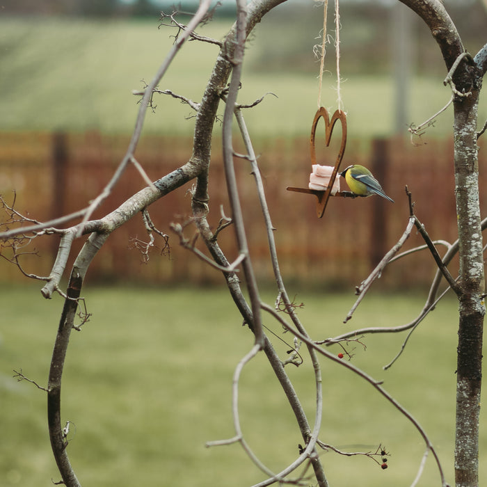 Petteri Wiimaa Bird Feeder Heart