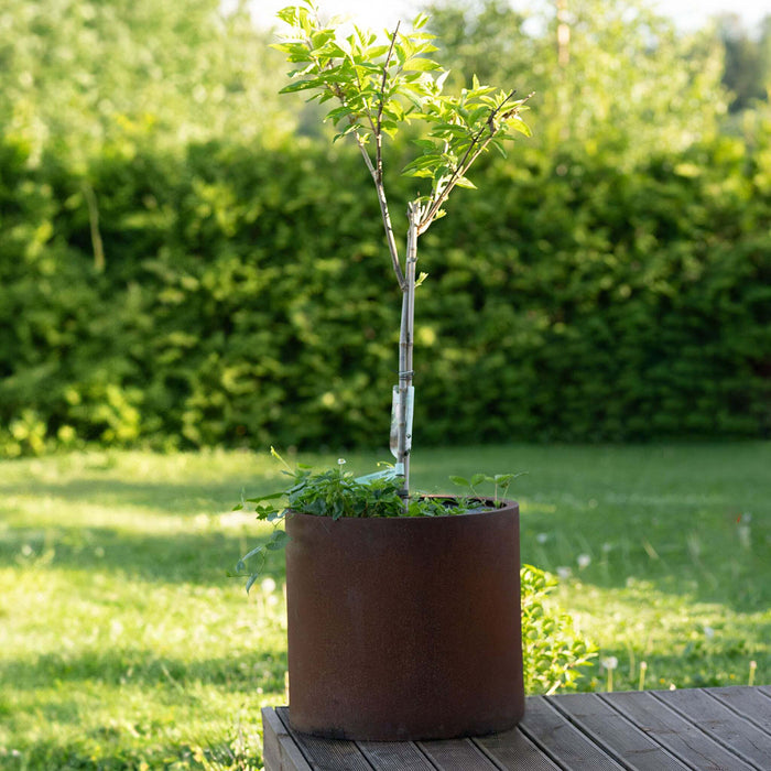 Petteri Wiimaa Corten Steel Planter Myy-XXL, Ø 80 cm (size 80x80 cm)