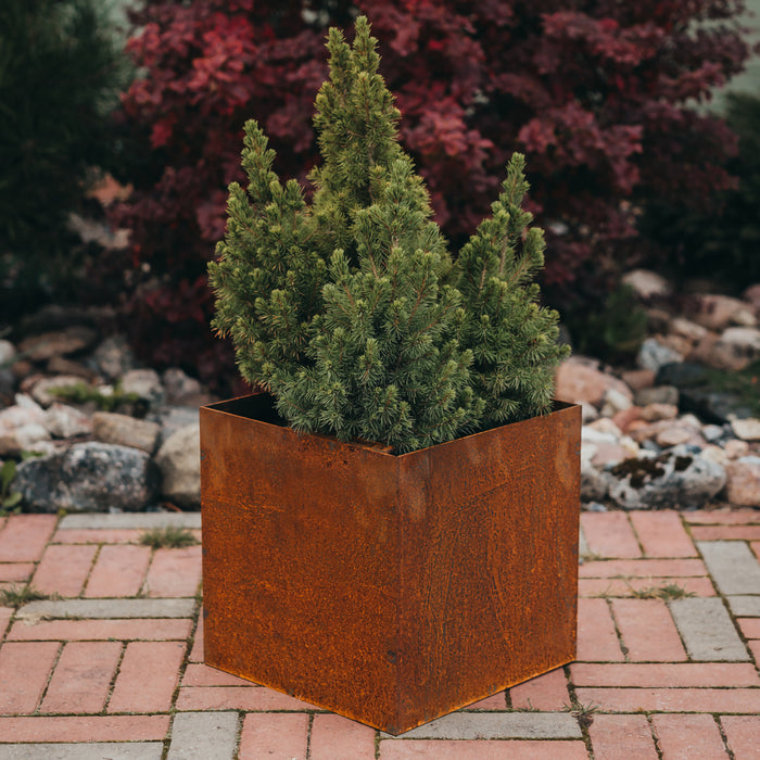 Petteri Wiimaa Corten Steel Planter Fiora M, 35x35x35 cm