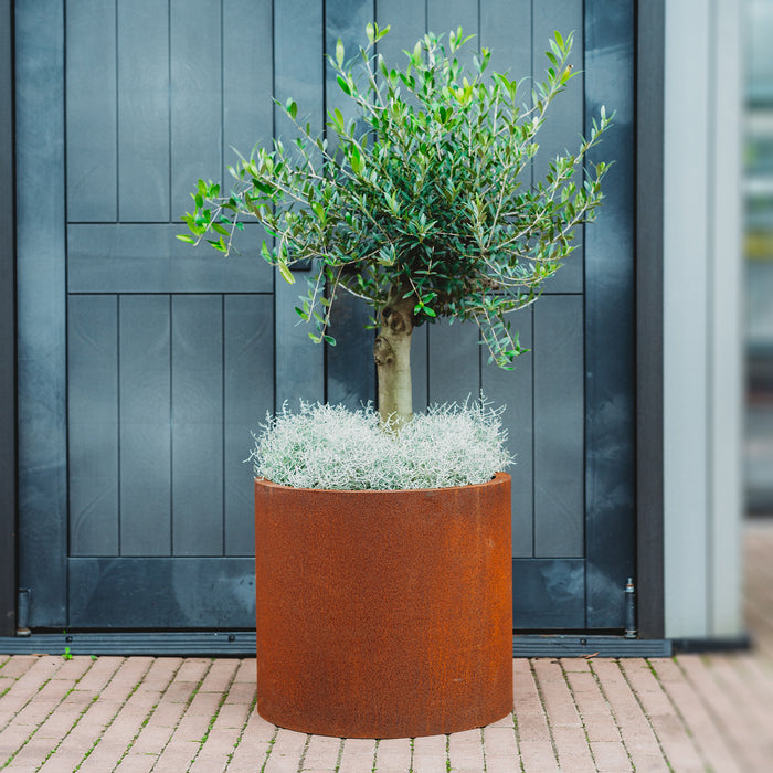 Petteri Wiimaa Corten Steel Planter Myy, Ø 55 cm (size 55x49 cm)